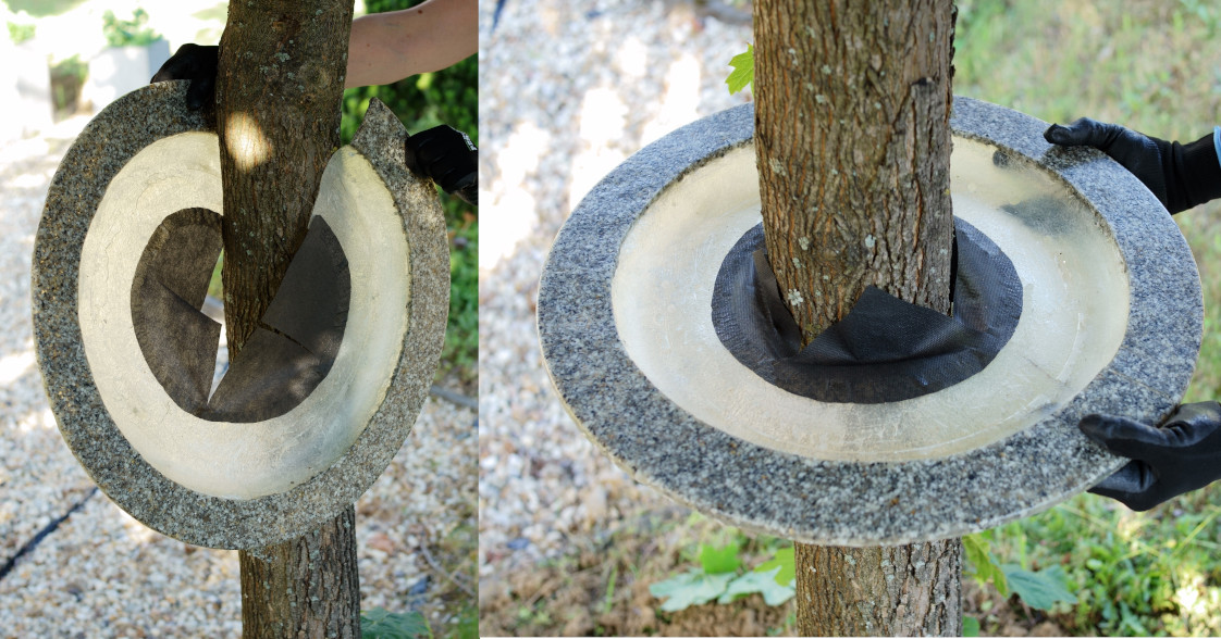 Krok 1: Rozchylenie obrzeża wokół pnia