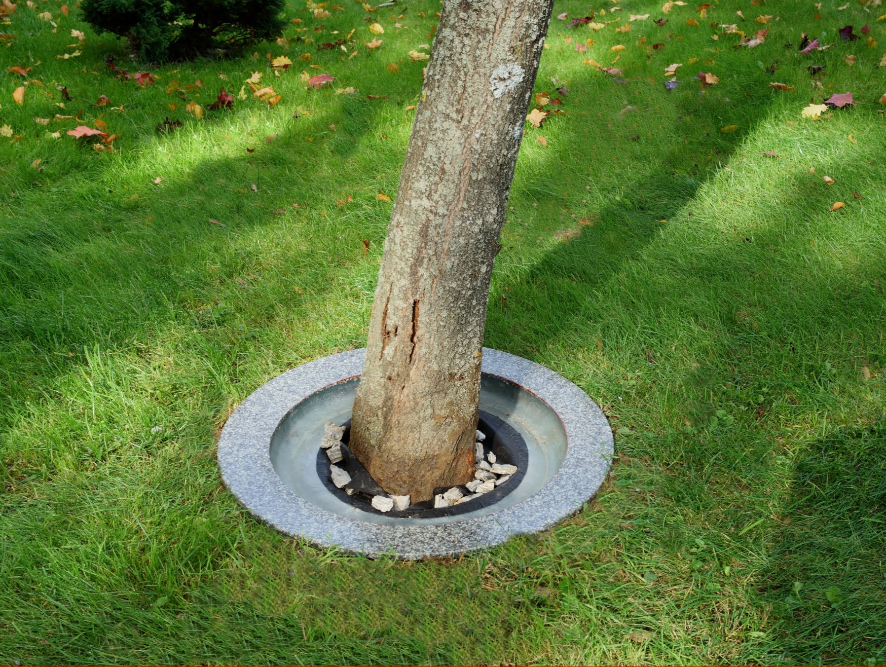 Okrągłe obrzeże kompozytowe innoVal – nowoczesne wykończenie wokół drzewa