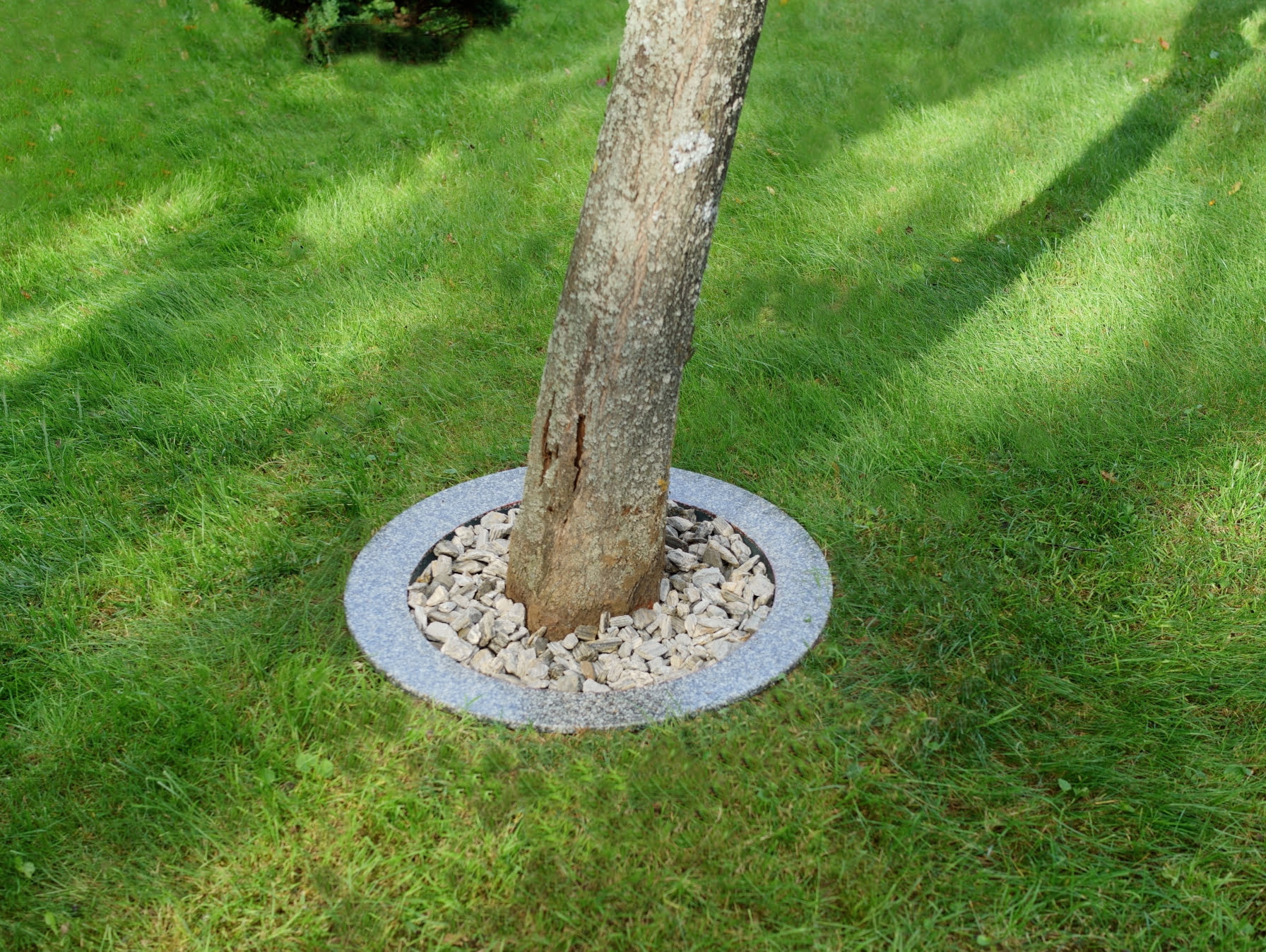 Obrzeże trawnikowe z konglomeratu – trwała bariera ogrodowa pod krzewy